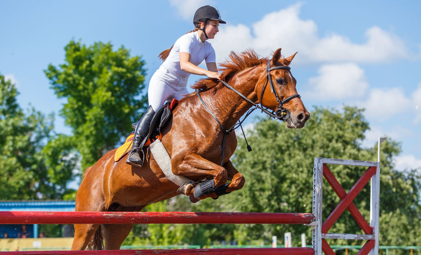 Equestrian Competitors